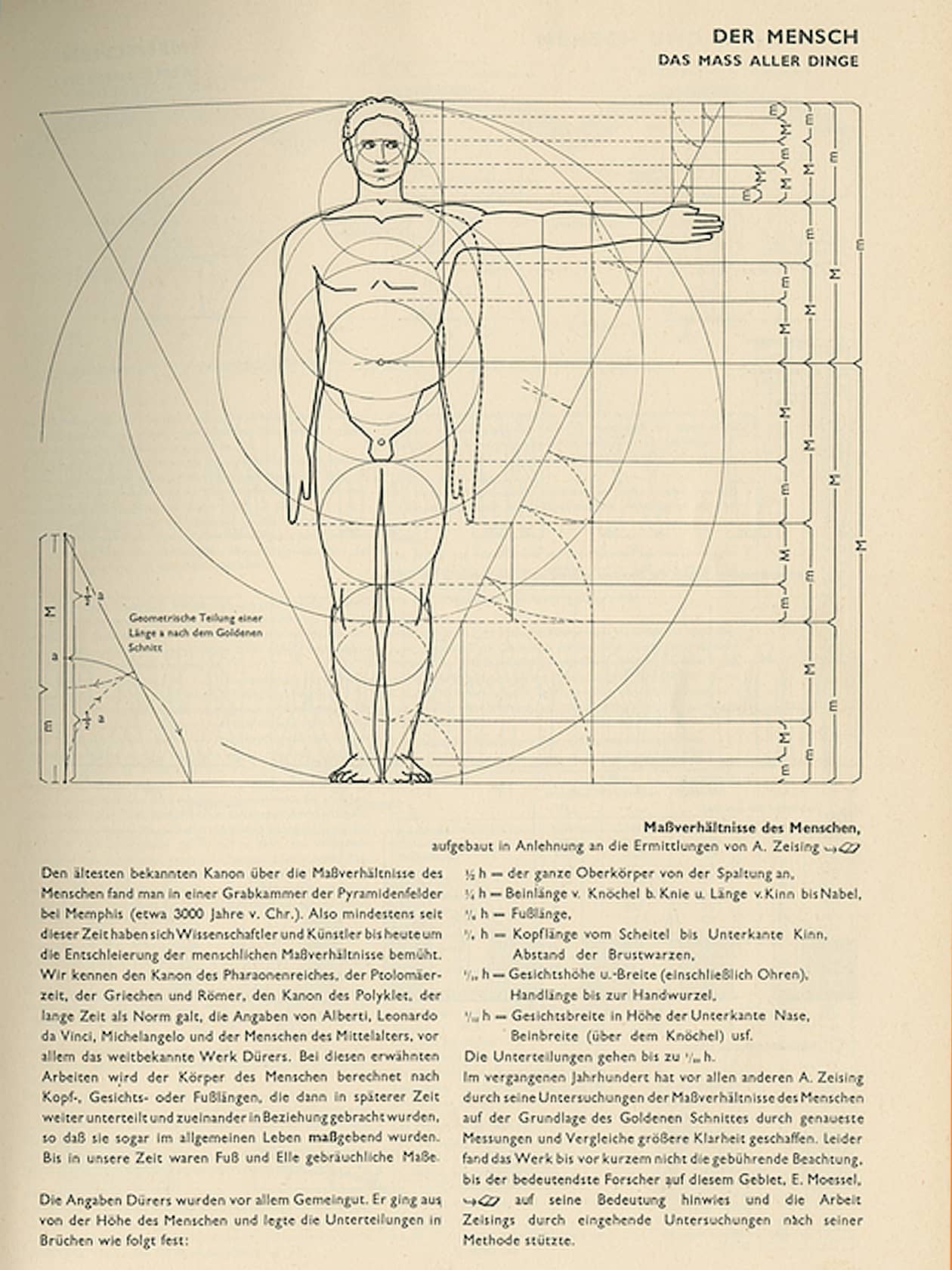 Erste Ausgabe der Bauentwurfslehre von Ernst Neufert, 1936,  “Der Mensch”